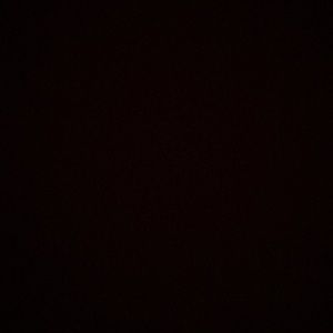 Meet your Posher, Daryl jr